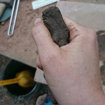 squeeze test soil sample